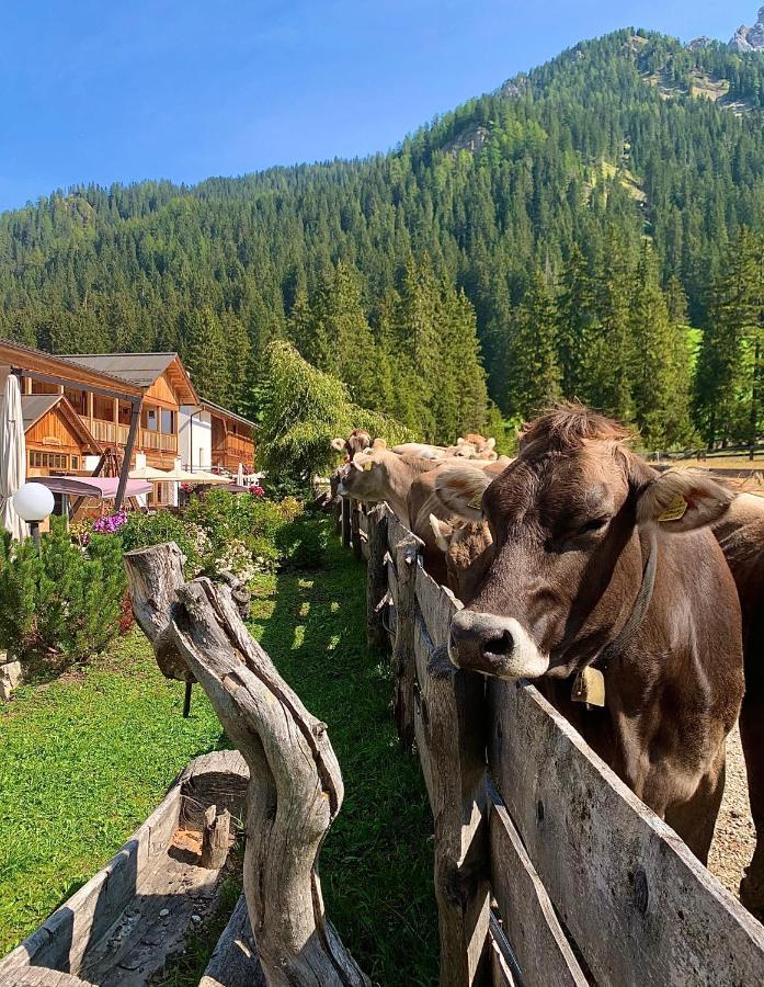 Alpin Natur Hotel Brueckele ไบรยัส ภายนอก รูปภาพ